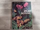 Atlas botanic de L.Popovici,C.Moruzi,I.Toma
