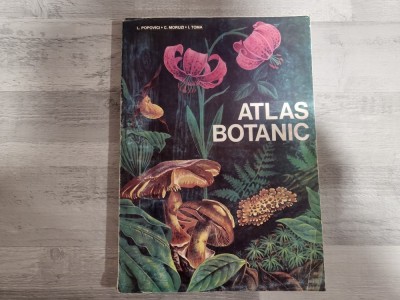 Atlas botanic de L.Popovici,C.Moruzi,I.Toma foto