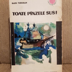 TOATE PANZELE SUS-RADU TUDORAN