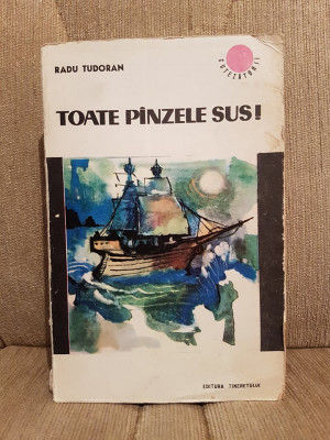 TOATE PANZELE SUS-RADU TUDORAN foto