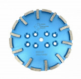 Disc cu segmenti diamantati pt. slefuire pardoseli - segment fin - Albastru - 250 mm - prindere 19mm - DXDY.8500.250.63, Oem