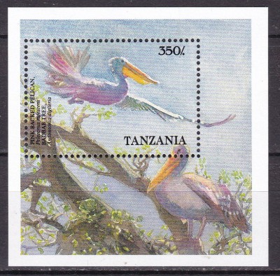 Tanzania 1989 fauna pasari MI bloc 89 MNH foto