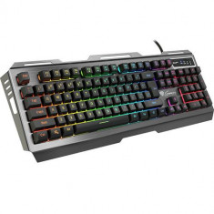 Tastatura Gaming Genesis Rhod 420, Iluminata RGB (Argintiu)