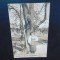 C.P.SUEDIA -CIRCULATA 1910