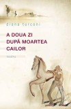 A doua zi dupa moartea cailor, Curtea Veche