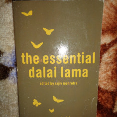 The essential Dalai Lama / his important teachings