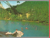 CPI B14564 - CARTE POSTALA - LACUL ROSU, Necirculata, Fotografie