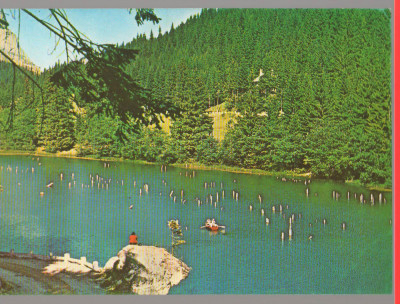 CPI B14564 - CARTE POSTALA - LACUL ROSU foto