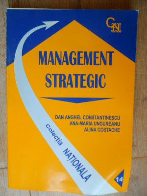 Management Strategic - Colectiv ,532499 foto