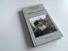 DANIIL SANDU TUDOR, HRISOVUL CLIPELOR- VERSURI. EDITURA RENASTEREA 2016
