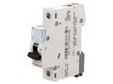 &Icirc;ntrerupător de Supracurent 25A 230V 1P C