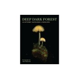 Deep Dark Forest Notes: 20 Different Notecards and Envelopes