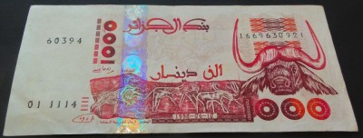 Bancnota EXOTICA 1000 DINARI - ALGERIA, anul 1998 *cod 624 - excelenta! foto