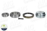 Set rulment roata MERCEDES-BENZ CLS (C218) (2011 - 2017) AIC 73326