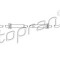 Senzor ABS / turatie roata PEUGEOT 206 SW (2E/K) (2002 - 2016) TOPRAN 721 617