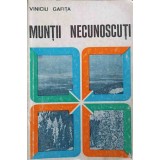 MUNTII NECUNOSCUTI-VINICIU GAFITA-251785