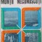 MUNTII NECUNOSCUTI-VINICIU GAFITA-251785