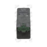 BorgWarner (Beru) unitate de control, bujii incandescente