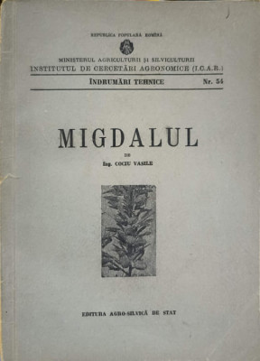 MIGDALUL-VASILE COCIU foto