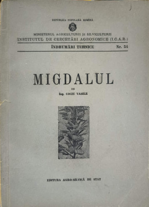 MIGDALUL-VASILE COCIU