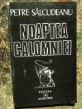 Petre Salcudeanu - Noaptea calomniei