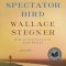 The Spectator Bird