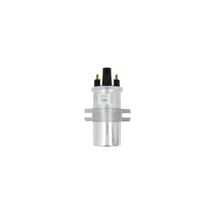 Bobina de inductie PEUGEOT J5 platou sasiu 290L BERU ZS120