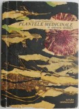 Plante Medicinale in Apararea Sanatatii - Corneliu Constantinescu - Carte beletristica despre medicina alternativa