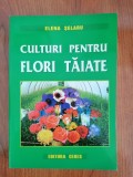 Elena Șelaru, Culturi pentru flori tăiate