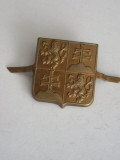 QW9 N 80 - insigna - militar - Republica Slovacia, Europa