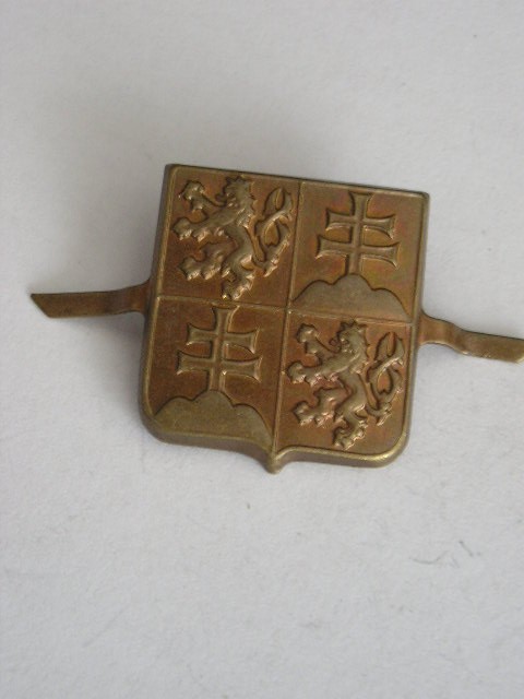 QW9 N 80 - insigna - militar - Republica Slovacia