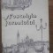 NOSTALGIA JURNALULUI-VALENTIN CIUCA-228722