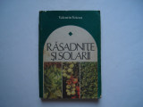 Rasadnite si solarii - Valentin Voican, 1984, Alta editura