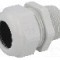Presetupa poliamida, NPT1&quot;, IP68, HSK-K, HUMMEL - 1.209.1000.70
