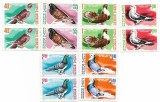 Romania (522) - Columbofilie,1981, serie neobliterata, blocuri de 2