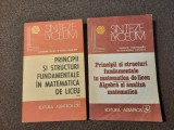 Rodica Trandafir - Principii si structuri fundamentale in matematica de liceu 2V