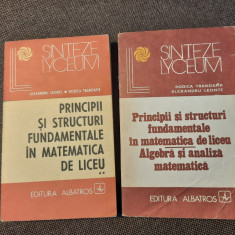 Rodica Trandafir - Principii si structuri fundamentale in matematica de liceu 2V