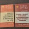 Rodica Trandafir - Principii si structuri fundamentale in matematica de liceu 2V