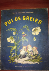 PUI DE GREIER, DOMNITA GEORGESCU MOLDOVEANU , ilustratii de V. GRESCENCO , 1967 foto