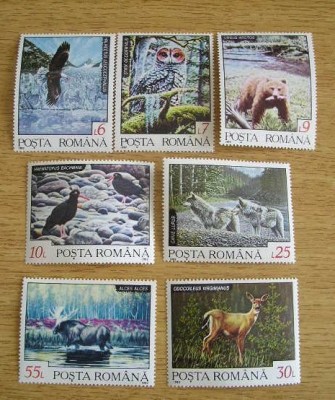 A11 TX1 4 - 1992 - Fauna din regiunile nordice foto
