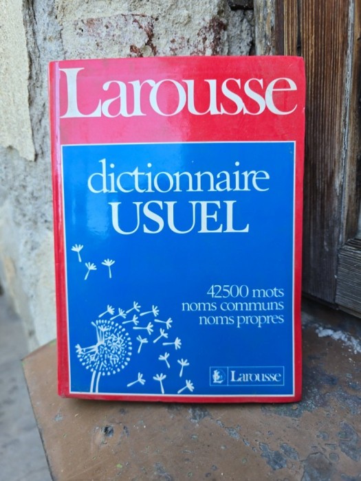Dictionnaire Usuel - Larousse