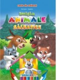 Invatam animale salbatice - Carte de colorat romana-engleza (format B5)