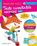 Istet de mic - Toate cunostintele necesare 5-6 ani