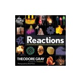 Reactions: An Illustrated Exploration of Elements, Molecules, and Change in the Universe