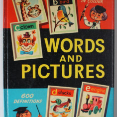 WORDS AND PICTURES , illustrated by H.T. CAULDWELL , 600 DEFINITIONS , 700 ILLUSTRATIONS IN COLOUR , ANII '60 , COTOR CU DEFECTE