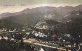 Sinaia Vederea generala(circa 1910, necirculata)