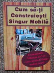 CUM SA-TI CONSTRUIESTI SINGUR MOBILA-COLECTIV foto