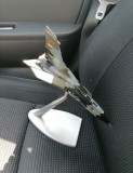 MACHETA AVION TORNADO -FOM- ITALY VOLECTIE, 1:1200