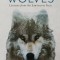 The Wisdom of Wolves: Lessons from the Sawtooth Pack