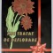 MIC TRATAT DE DEFLORARE de VIRGIL RAZESU , 2010 *DEDICATIE
